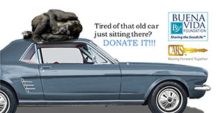 Photo of car with words that say Tired of that old car just sitting there? DONATE IT!