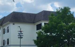 purple martin nests at Buena Vida Estates