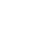 Buena Vida Estates Logo - REVERSED for dark backgrounds